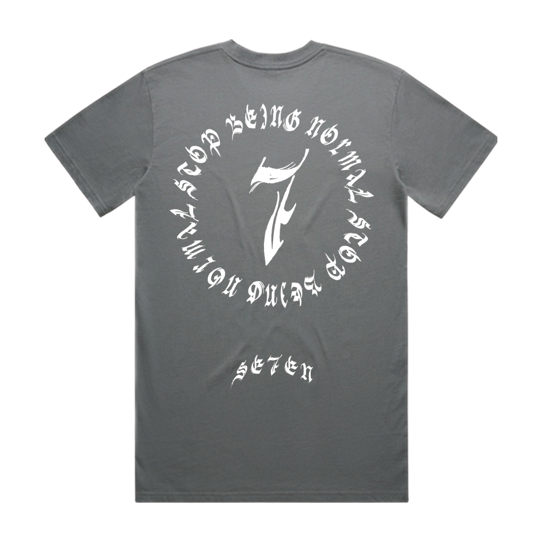 SBN-1 TEE - GREY image 1