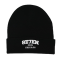ESTABLISHED CITY BEANIE image 0
